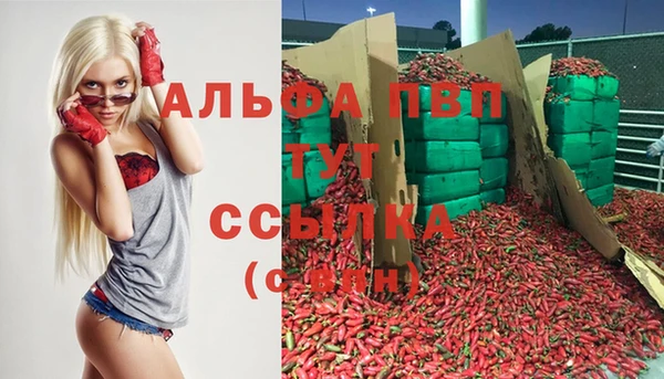 MDMA Белокуриха