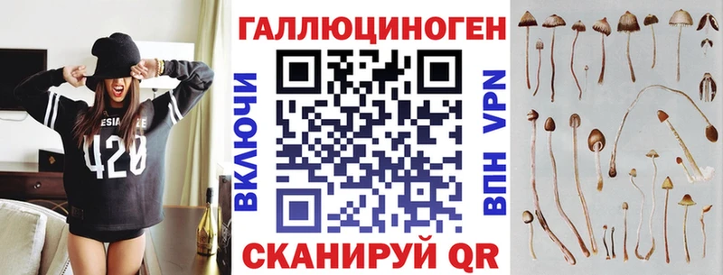 Псилоцибиновые грибы прущие грибы Пионерский